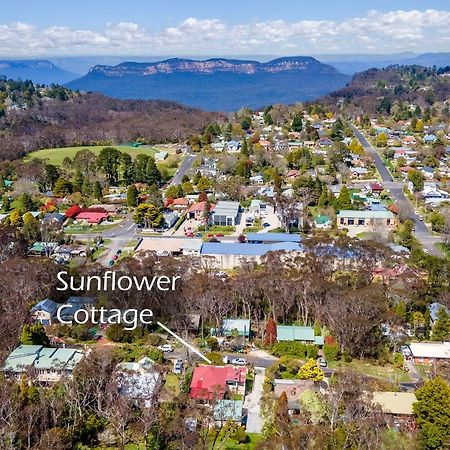 Sunflower Cottage Katoomba Exterior photo